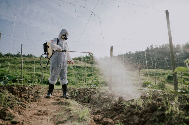 Best Commercial Pest Control Services  in Tallapoosa, GA