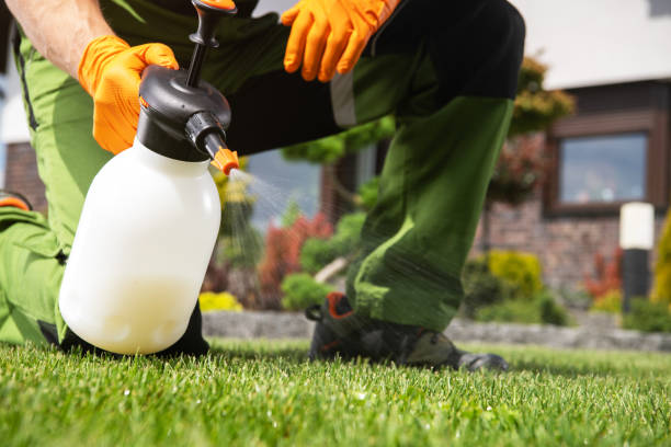 Best Wasp Removal Services  in Tallapoosa, GA