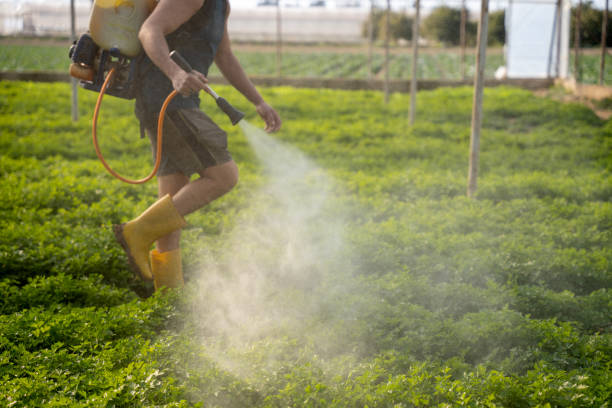 Best Pest Inspection Near Me  in Tallapoosa, GA