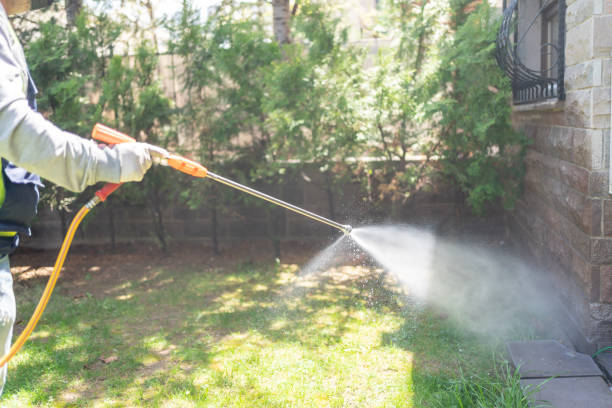 Best Best Pest Control Companies  in Tallapoosa, GA