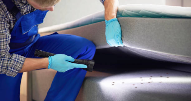 Best Cockroach Control Services  in Tallapoosa, GA
