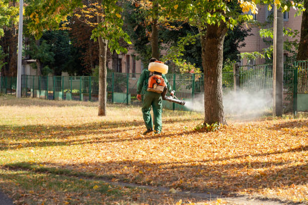 Best Flea Control Services  in Tallapoosa, GA