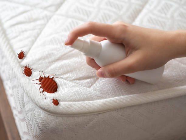 Best Pest Removal Services  in Tallapoosa, GA