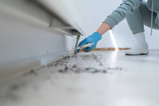 Best Cockroach Control Services  in Tallapoosa, GA